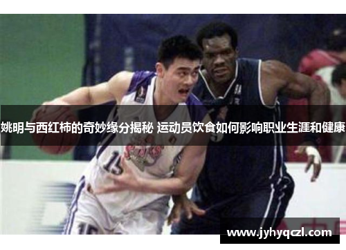 姚明与西红柿的奇妙缘分揭秘 运动员饮食如何影响职业生涯和健康