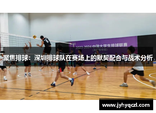 聚焦排球：深圳排球队在赛场上的默契配合与战术分析